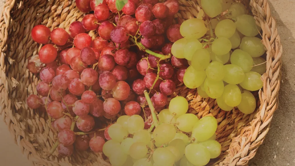 Uvas boas